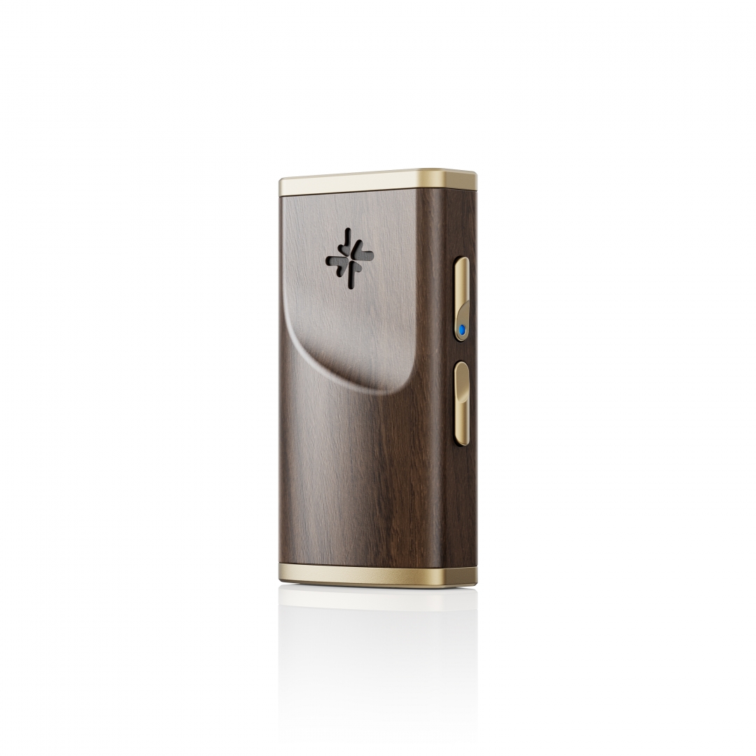 FiiO Snowsky Melody
